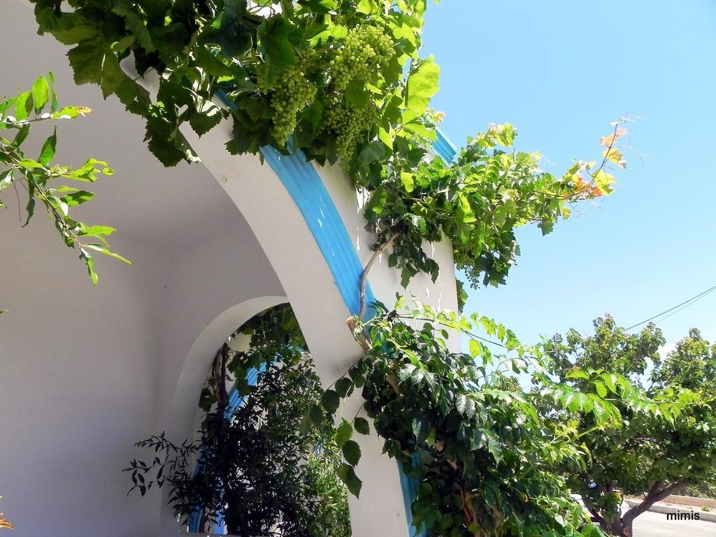 Lakki  Mihalis Studios חדר תמונה